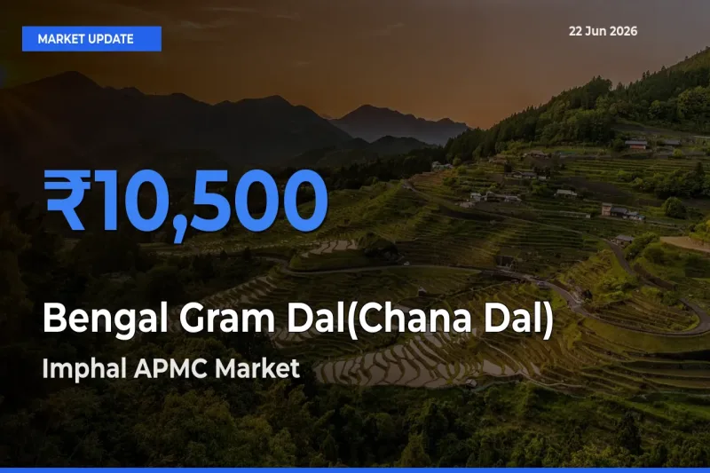 Market Watch: Imphal APMC Becomes Top Mandi for Bengal Gram Dal(Chana Dal)