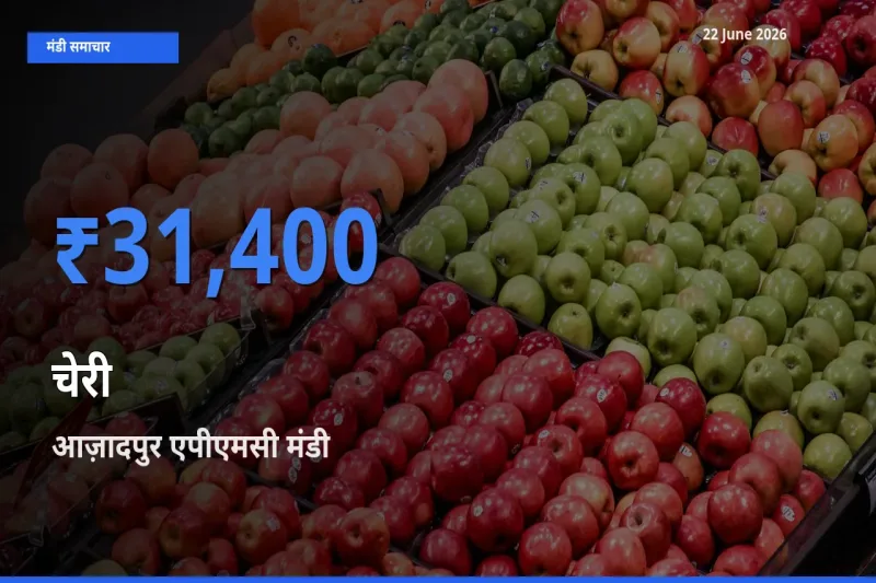 आज का मंडी भाव: चेरी के सबसे ज़्यादा दाम आज़ादपुर एपीएमसी में