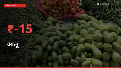 अचानक झटका! मंडी में आलू के दाम 15.35% टूटे
