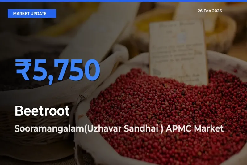 Sooramangalam(Uzhavar Sandhai ) APMC Records Highest ₹5,750 Rate for Beetroot
