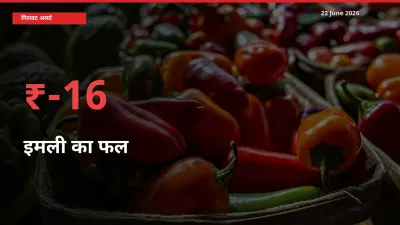 22 June अपडेट: इमली का फल के दाम मंडी में 15.69% गिरे
