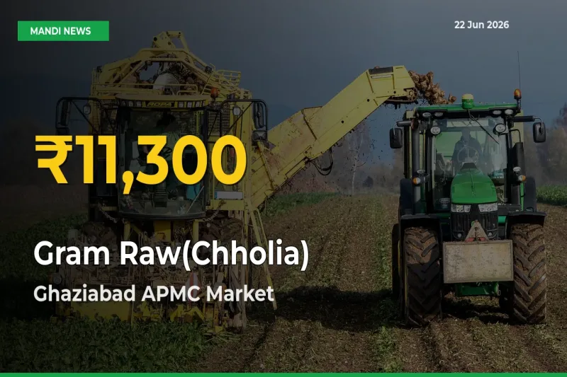 Ghaziabad APMC Leads as Gram Raw(Chholia) Hits Highest Rate – June 22 Update