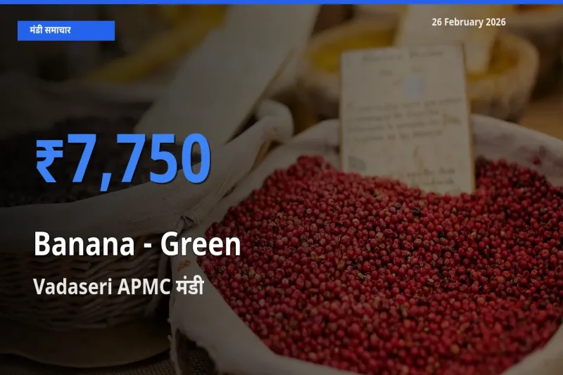 आज Banana - Green के सबसे ज़्यादा दाम Vadaseri APMC मंडी में दर्ज