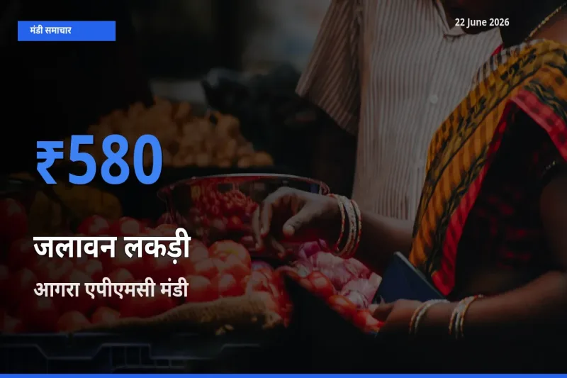 आज जलावन लकड़ी के सबसे ज़्यादा दाम आगरा एपीएमसी मंडी में दर्ज