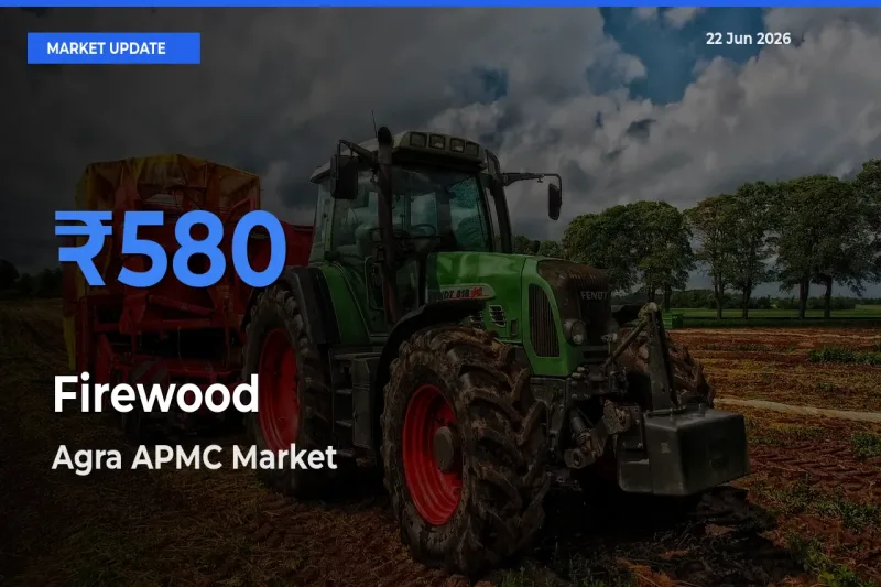 Agra APMC Tops Firewood Rates – June 22 Market Update