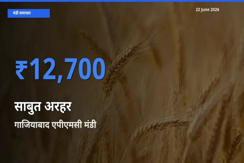 22 June अपडेट: साबुत अरहर के सबसे ऊँचे दाम गाजियाबाद एपीएमसी मंडी में