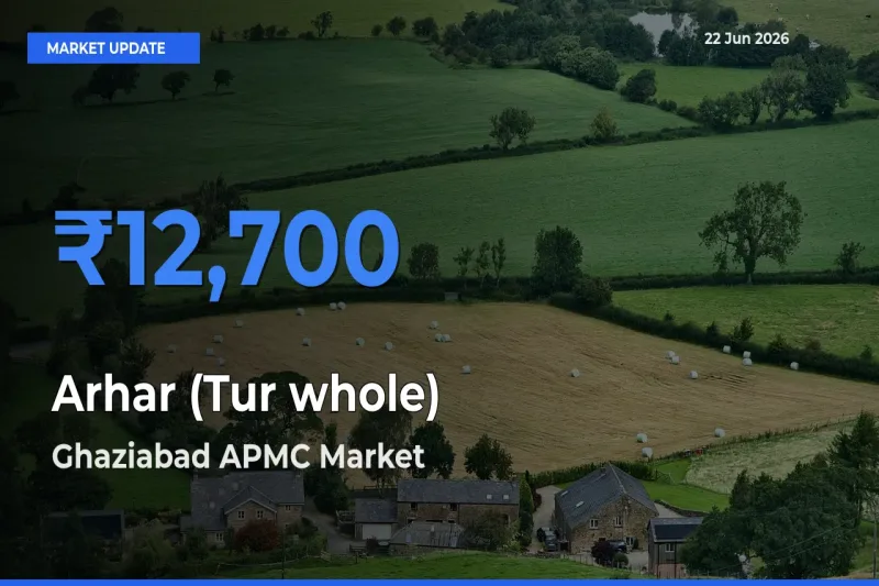 Ghaziabad APMC Offers ₹12,700 – Highest Arhar (Tur whole) Rate Today