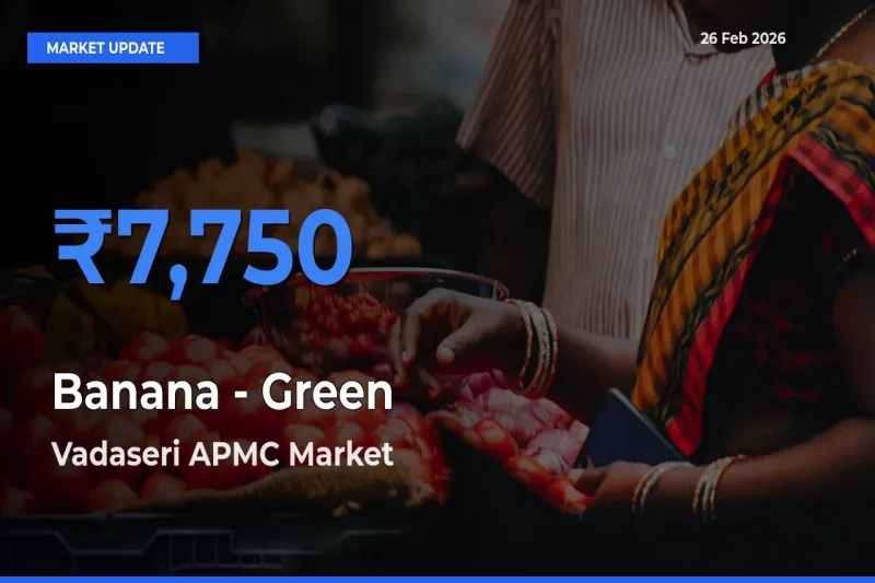 Vadaseri APMC Records Highest ₹7,750 Rate for Banana - Green