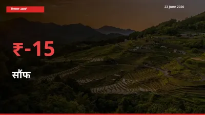 15.46% की गिरावट! मंडी में सौंफ के दाम अचानक टूटे