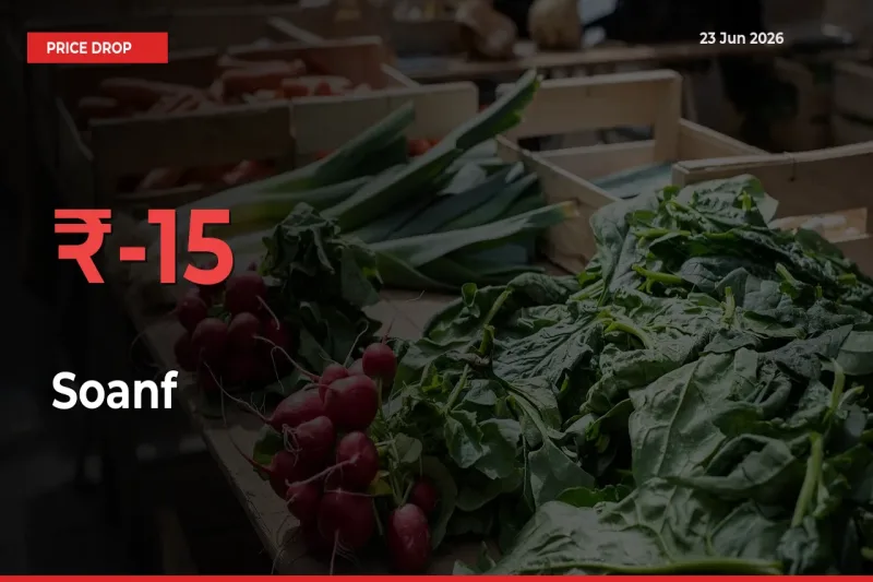 Soanf Falls 15.46% at Mandis