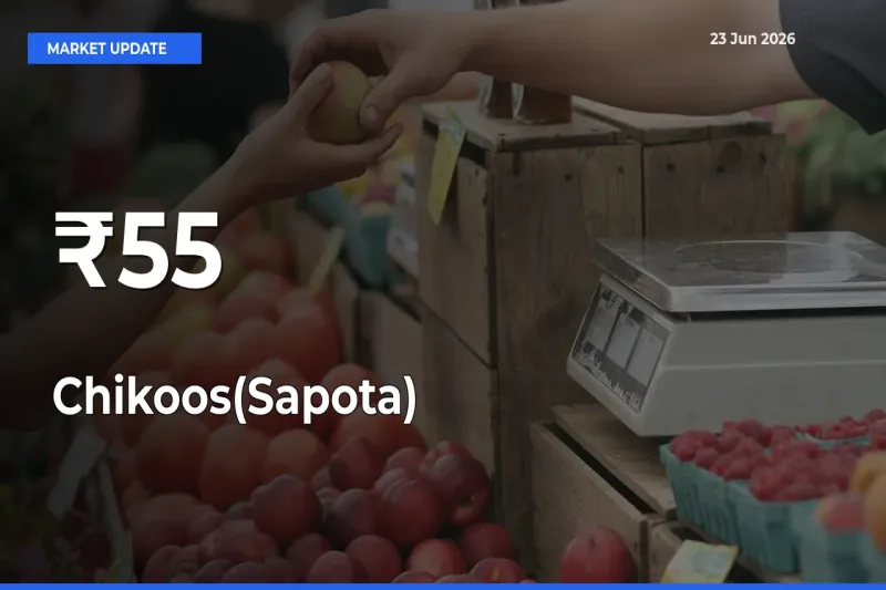 Strong Trend in Chikoos(Sapota) Rates Across Multiple Mandis – What It Means for Traders