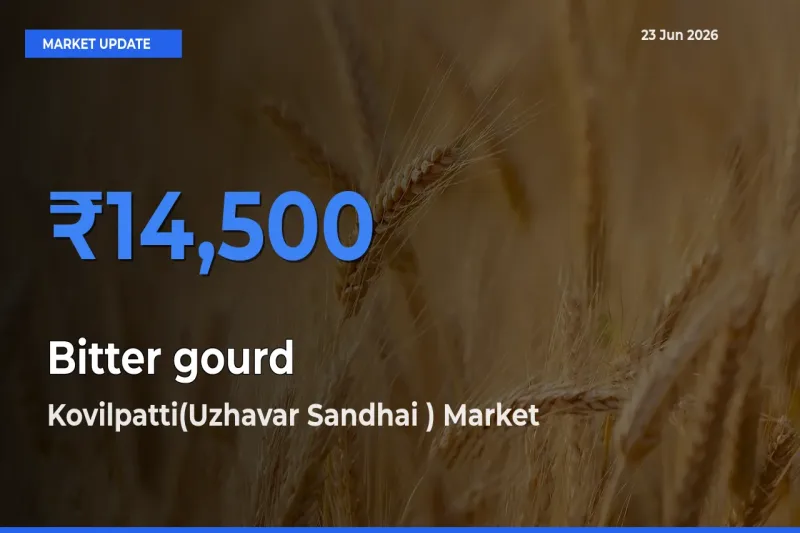 Kovilpatti(Uzhavar Sandhai ) Leads as Top Mandi for Bitter gourd Prices