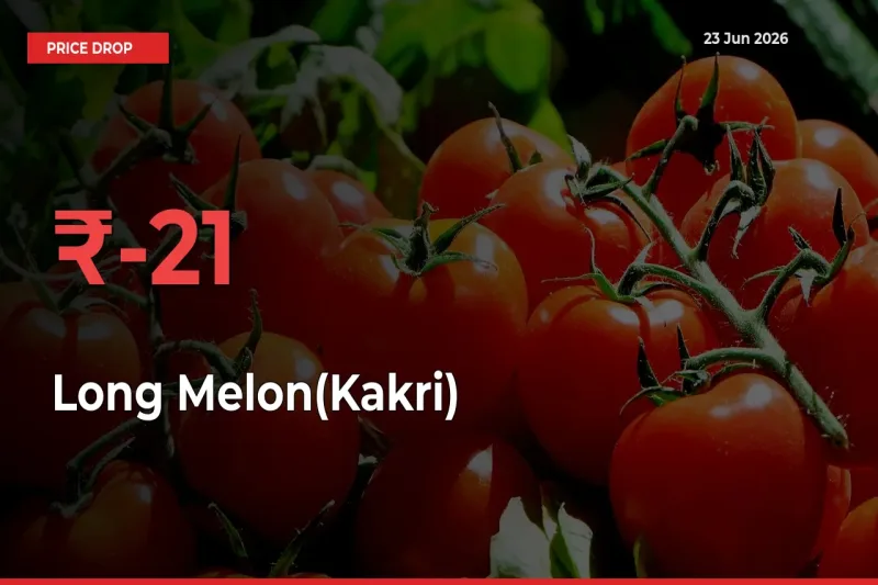 This Mandi Records 21.12% Fall in Long Melon(Kakri) Prices