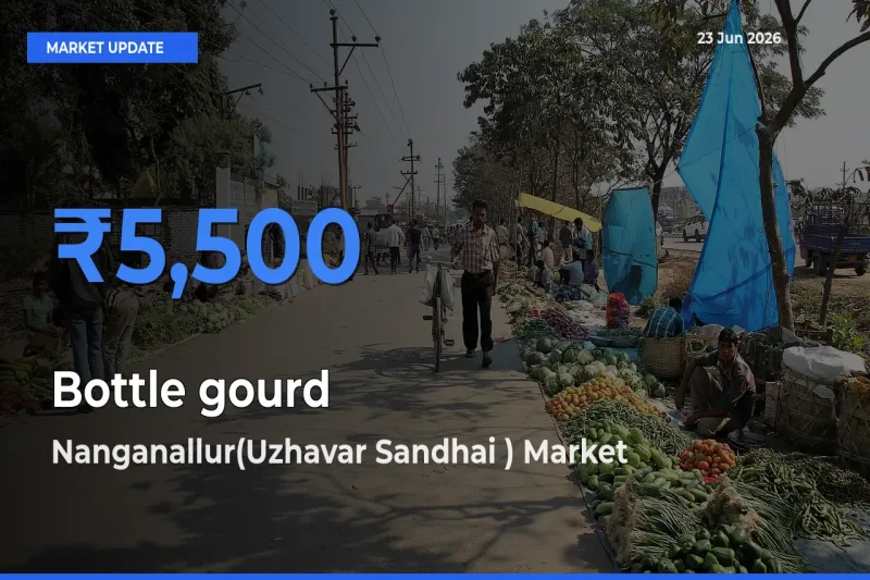 Market Watch: Nanganallur(Uzhavar Sandhai ) Becomes Top Mandi for Bottle gourd