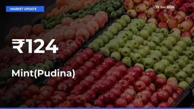 Why Mint(Pudina) Prices Are Moving Across Multiple Mandis Today