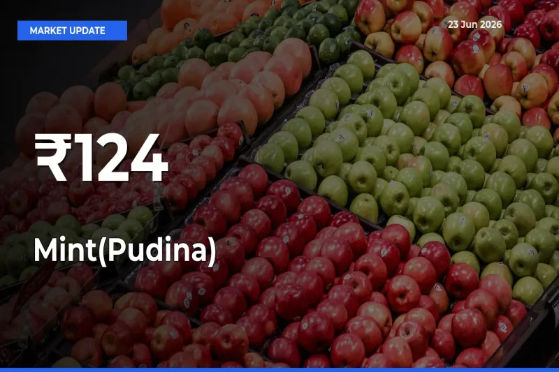 Why Mint(Pudina) Prices Are Moving Across Multiple Mandis Today