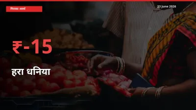23 June अपडेट: हरा धनिया के दाम मंडी में 15.24% गिरे