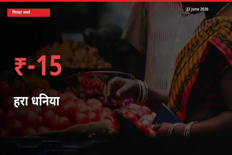 23 June अपडेट: हरा धनिया के दाम मंडी में 15.24% गिरे