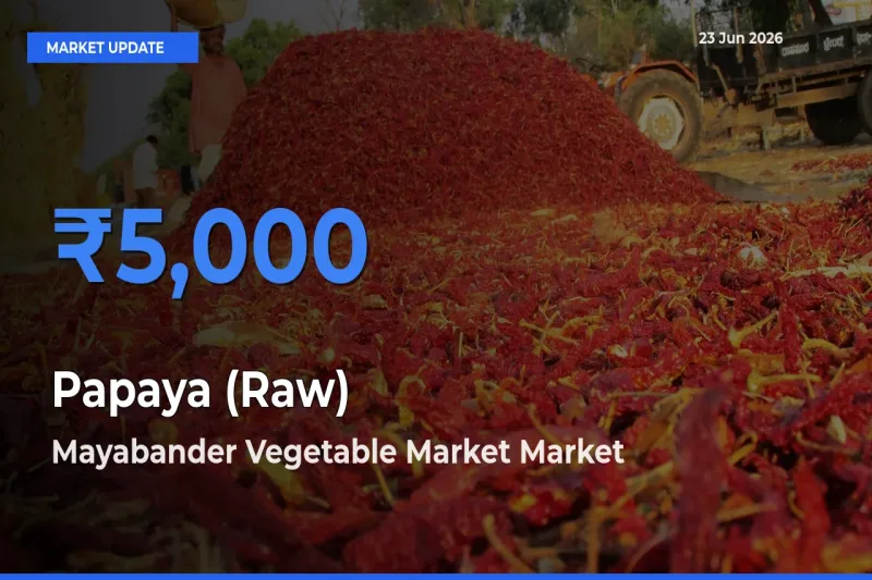 Mayabander Vegetable Market Emerges as Top Mandi for Papaya (Raw) Prices Today