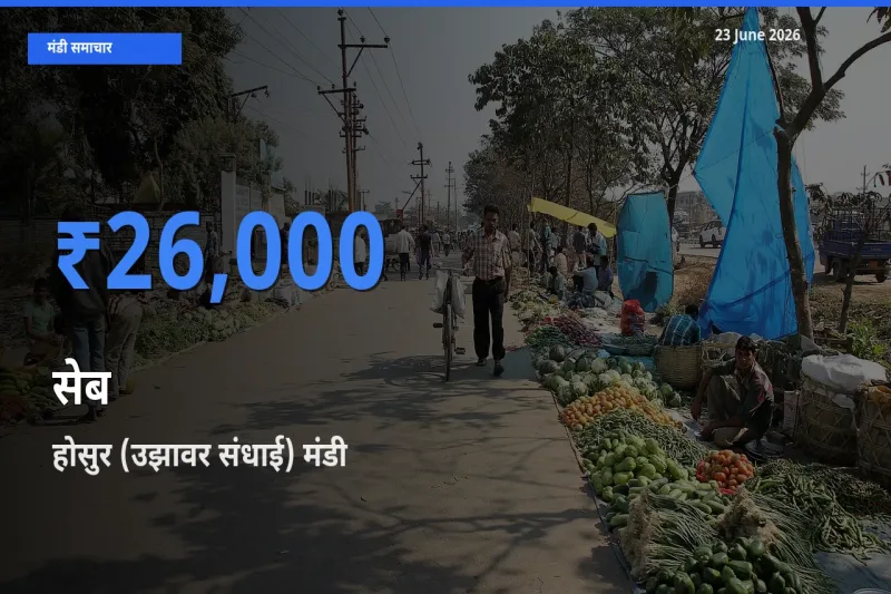 23 June अपडेट: सेब के सबसे ऊँचे दाम होसुर (उझावर संधाई) मंडी में