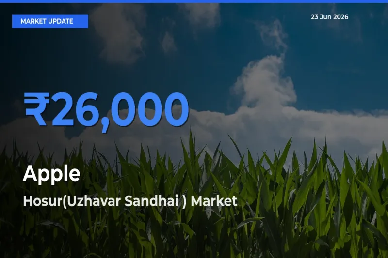 Hosur(Uzhavar Sandhai ) Offers ₹26,000 – Highest Apple Rate Today