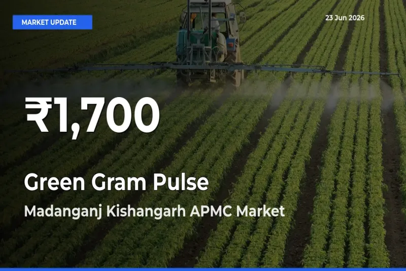 Green Gram Pulse Hits 30-Day Low in Madanganj Kishangarh APMC