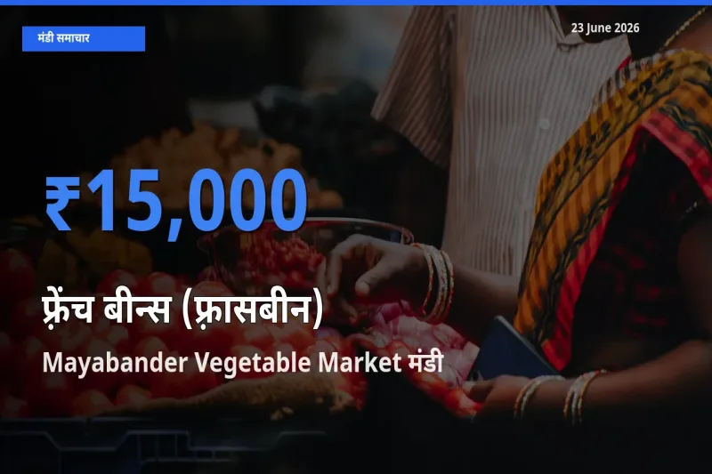 Mayabander Vegetable Market मंडी में आज फ़्रेंच बीन्स (फ़्रासबीन) के सबसे ऊँचे दाम दर्ज