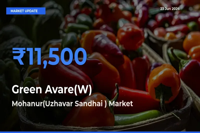 Mohanur(Uzhavar Sandhai ) Leads as Top Mandi for Green Avare(W) Prices