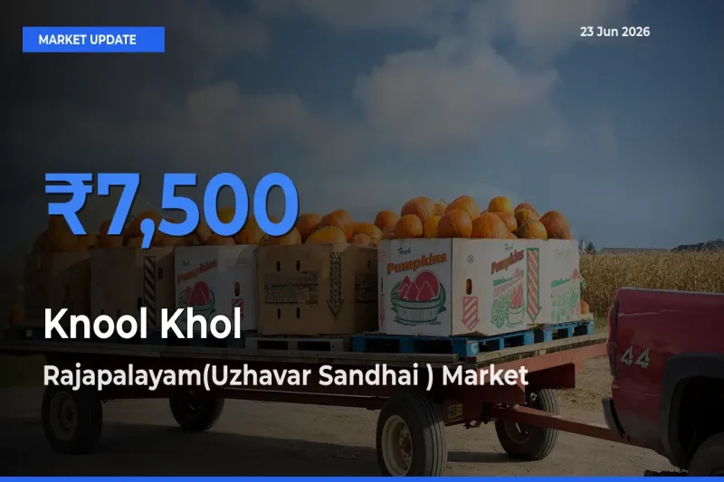 Rajapalayam(Uzhavar Sandhai ) Leads as Top Mandi for Knool Khol Prices