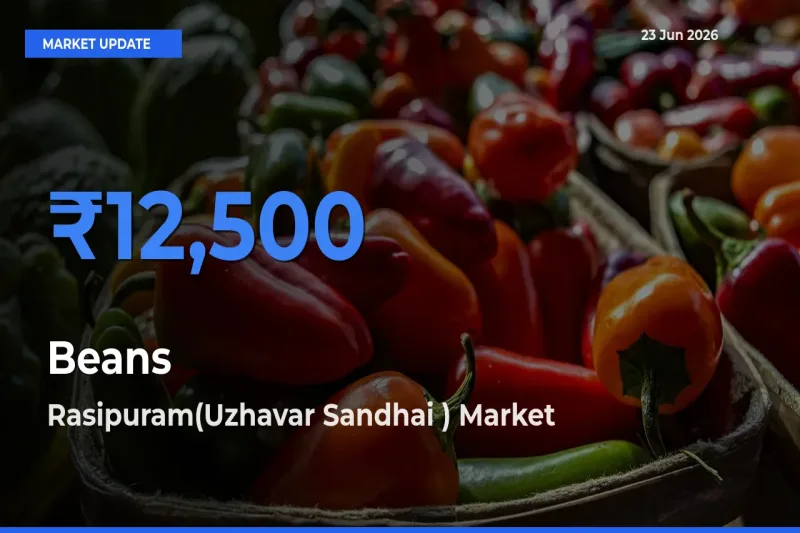 Rasipuram(Uzhavar Sandhai ) Records Highest ₹12,500 Rate for Beans