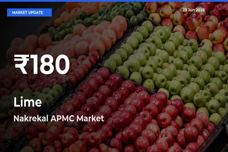 Lime Prices Touch 30-Day Low in Nakrekal APMC – June 23 Update