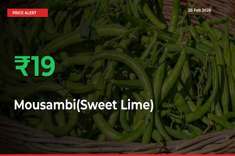 Sudden 19.17% Rally in Mousambi(Sweet Lime) Prices Across Mandis