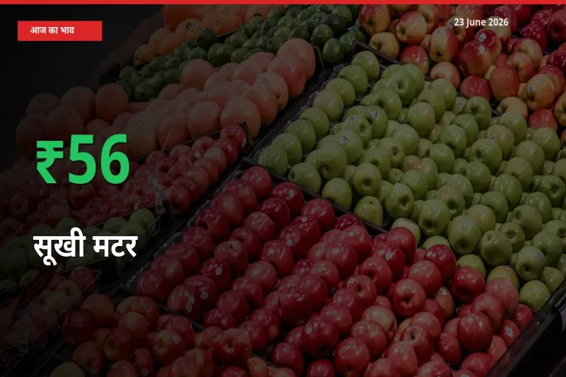 किसानों के लिए खुशखबरी! स्थानीय मंडी में सूखी मटर 56.47% उछला