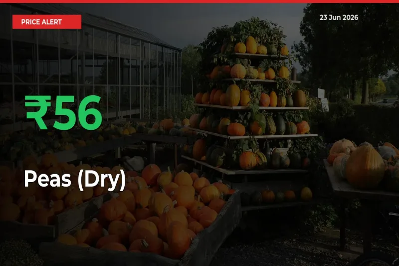 Peas (Dry) Rises 56.47% at Mandis