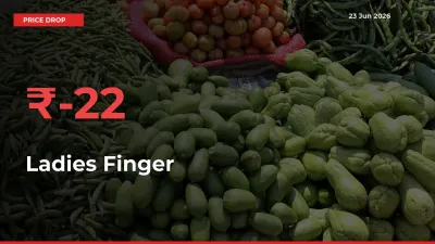Farmers Alert as Ladies Finger Prices Slide 22.02% in Local Mandis