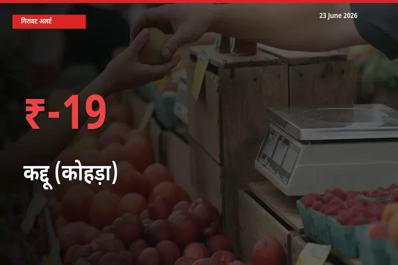 19.35% की गिरावट! मंडी में कद्दू (कोहड़ा) के दाम अचानक टूटे