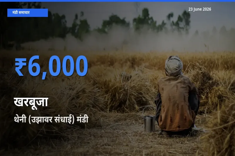 23 June अपडेट: खरबूजा के सबसे ऊँचे दाम थेनी (उझावर संधाई) मंडी में
