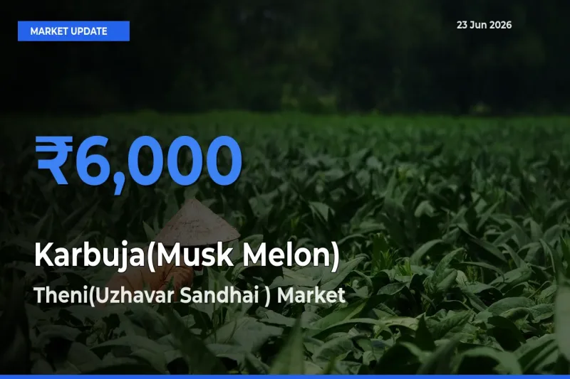 Market Watch: Theni(Uzhavar Sandhai ) Becomes Top Mandi for Karbuja(Musk Melon)