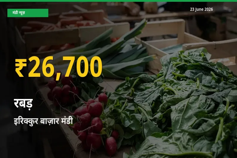रबड़ के भावों में जबरदस्त उछाल, इरिक्कुर बाज़ार में नया उच्च स्तर