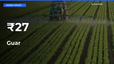 Guar Prices Gain Momentum Across 27+ Mandis – Market Trend Strengthens