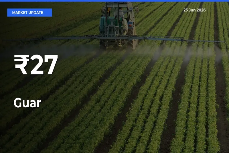 Guar Prices Gain Momentum Across 27+ Mandis – Market Trend Strengthens