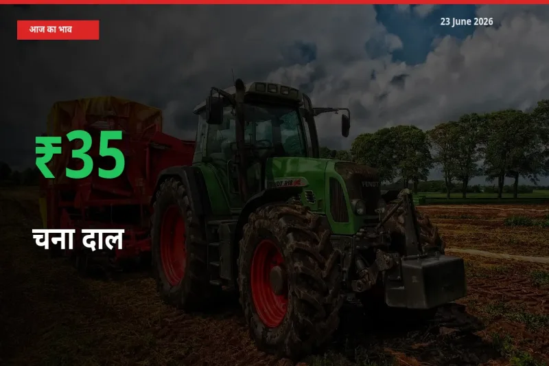 किसानों के लिए खुशखबरी! स्थानीय मंडी में चना दाल 34.68% उछला