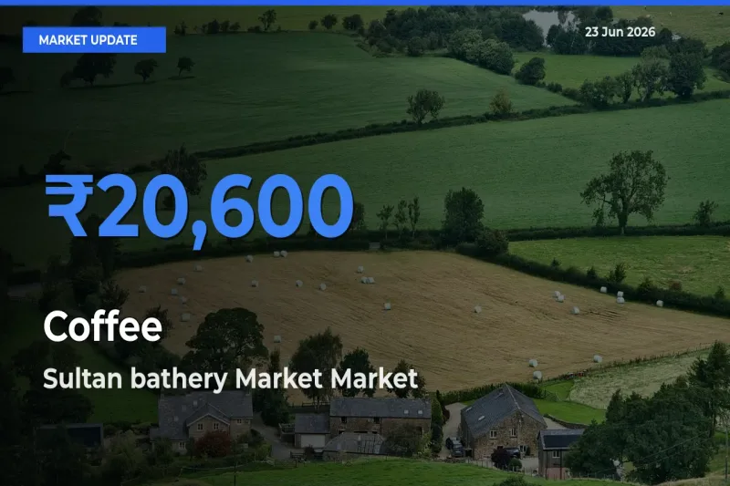 Sultan bathery Market Records Highest ₹20,600 Rate for Coffee
