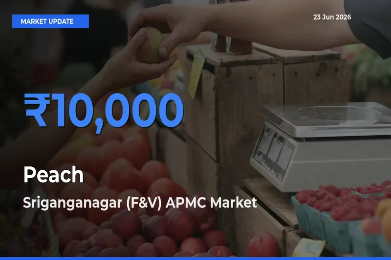 Sriganganagar (F&V) APMC Emerges as Top Mandi for Peach Prices Today