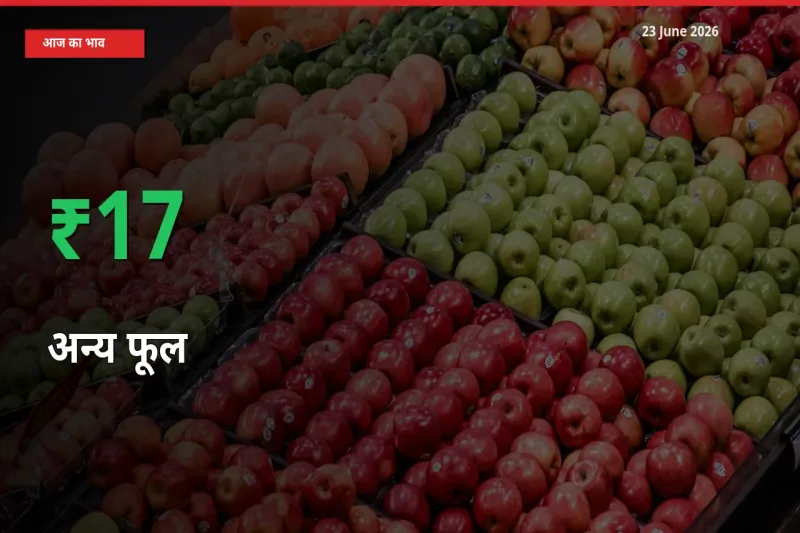 तेज़ तेजी! मंडी में अन्य फूल के दाम 16.67% चढ़े