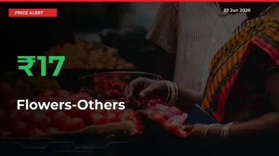 Flowers-Others Mandi Rate Today: Prices Jump 16.67% at Market