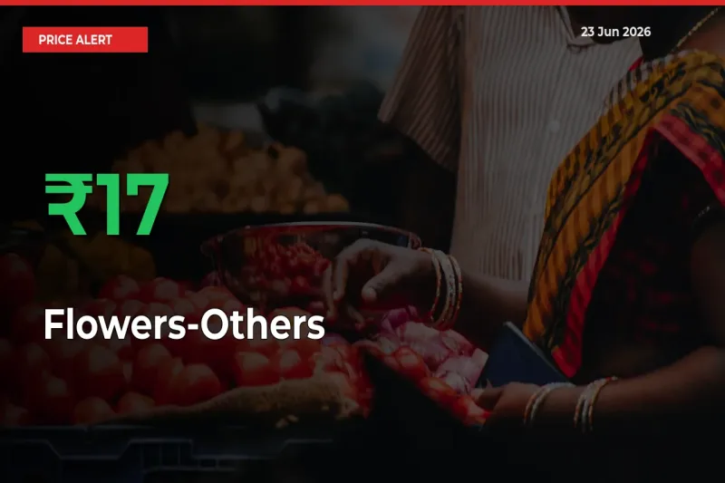 Flowers-Others Mandi Rate Today: Prices Jump 16.67% at Market