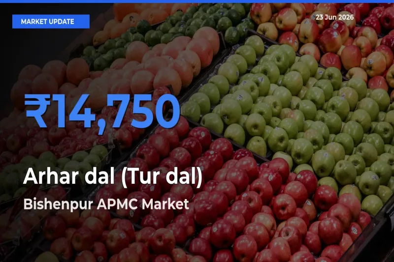Bishenpur APMC Leads as Top Mandi for Arhar dal (Tur dal) Prices