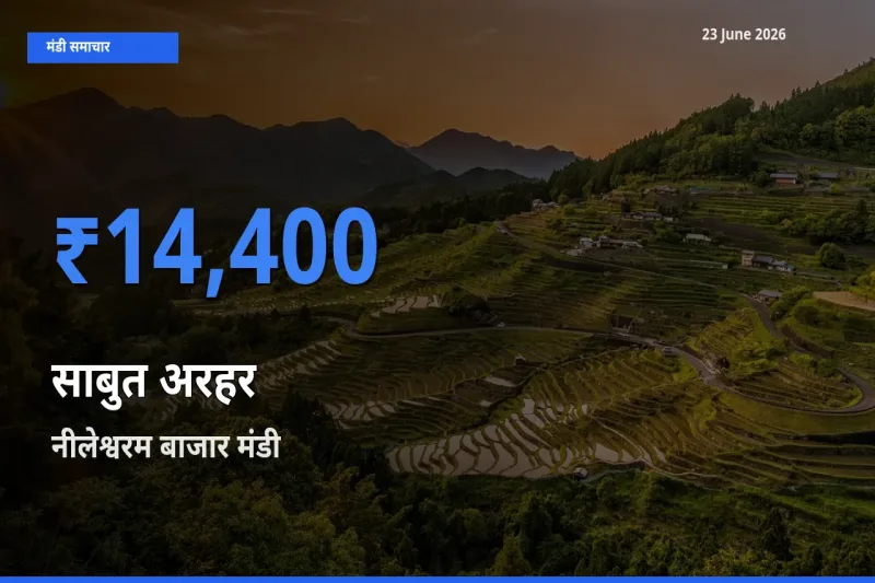 आज साबुत अरहर के सबसे ऊँचे दाम ₹14,400 नीलेश्वरम बाजार मंडी में