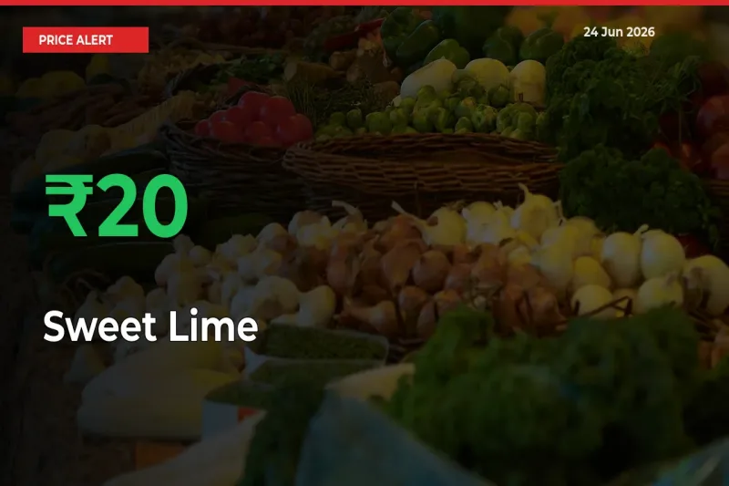 Sudden 20.36% Rally in Sweet Lime Prices Across Mandis